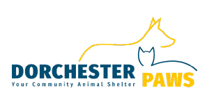 The logo for Dorchester Paws, one of Arreva’s nonprofit donor management software clients.